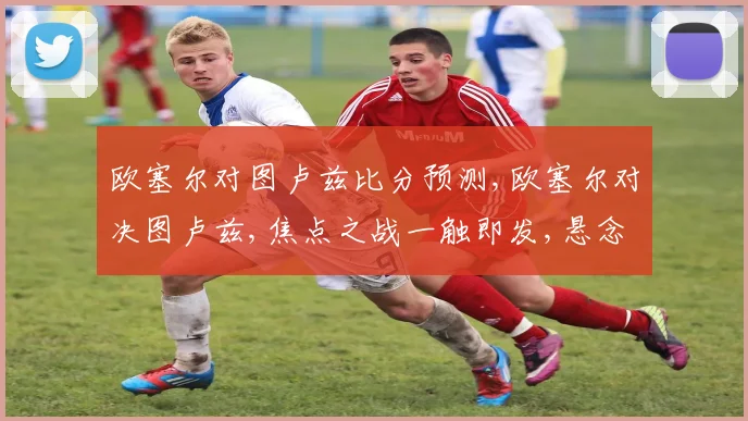 欧塞尔对图卢兹比分预测,欧塞尔对决图卢兹,焦点之战一触即发,悬念迭起